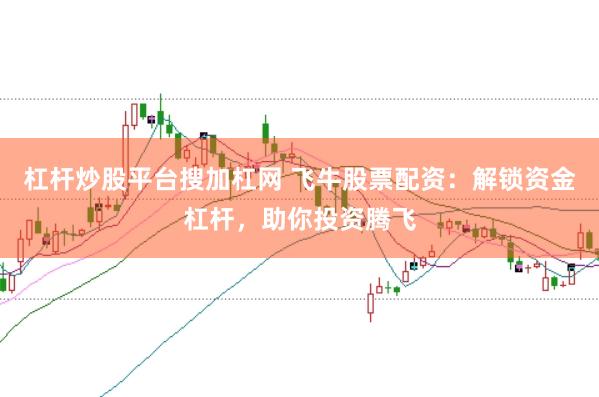 杠杆炒股平台搜加杠网 飞牛股票配资：解锁资金杠杆，助你投资腾飞