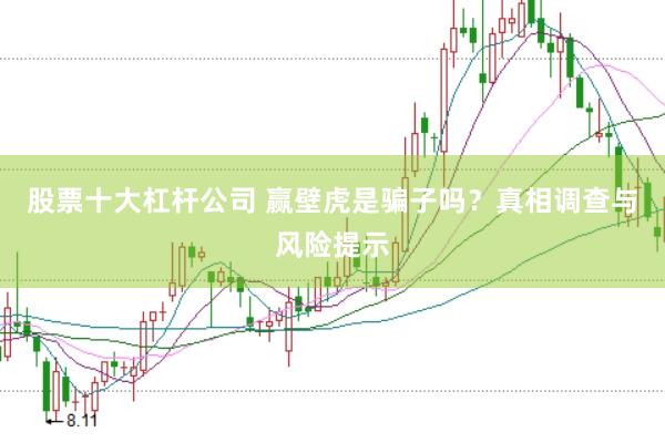 股票十大杠杆公司 赢壁虎是骗子吗？真相调查与风险提示