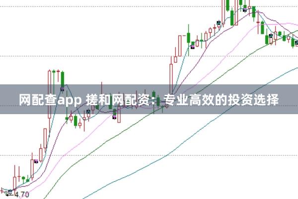 网配查app 搓和网配资：专业高效的投资选择