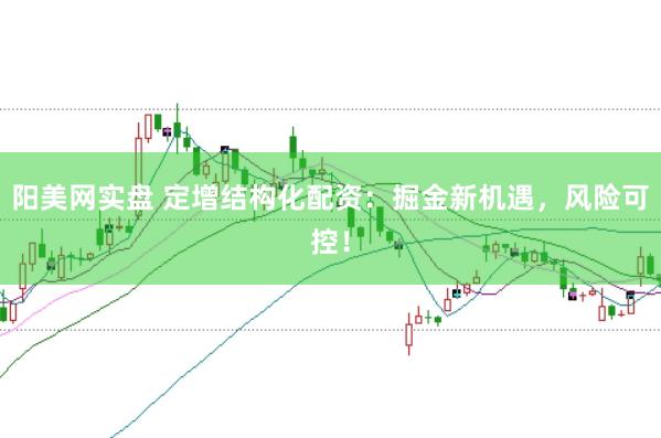 阳美网实盘 定增结构化配资：掘金新机遇，风险可控！