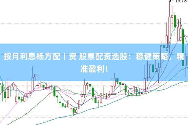 按月利息杨方配丨资 股票配资选股：稳健策略，精准盈利！
