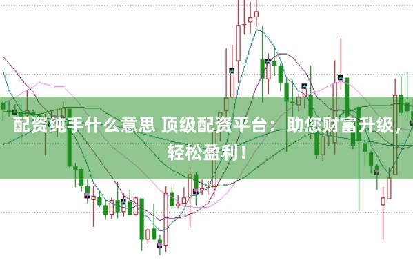 配资纯手什么意思 顶级配资平台：助您财富升级，轻松盈利！