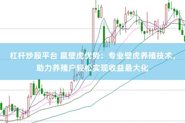 杠杆炒股平台 赢壁虎优势：专业壁虎养殖技术，助力养殖户轻松实现收益最大化