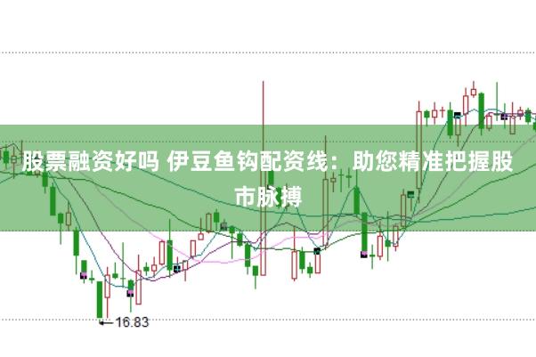 股票融资好吗 伊豆鱼钩配资线：助您精准把握股市脉搏