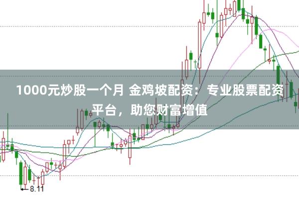 1000元炒股一个月 金鸡坡配资：专业股票配资平台，助您财富增值