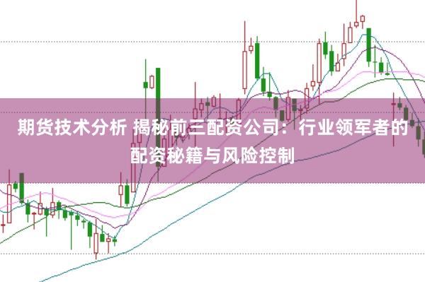 期货技术分析 揭秘前三配资公司：行业领军者的配资秘籍与风险控制