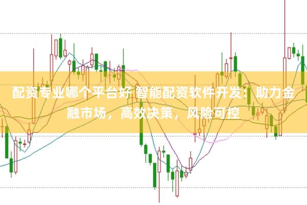配资专业哪个平台好 智能配资软件开发：助力金融市场，高效决策，风险可控