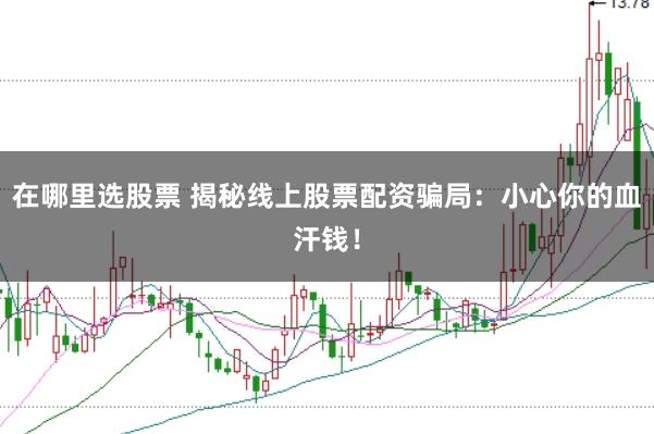 在哪里选股票 揭秘线上股票配资骗局：小心你的血汗钱！