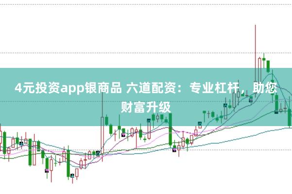 4元投资app银商品 六道配资:专业杠杆,助您财富升级