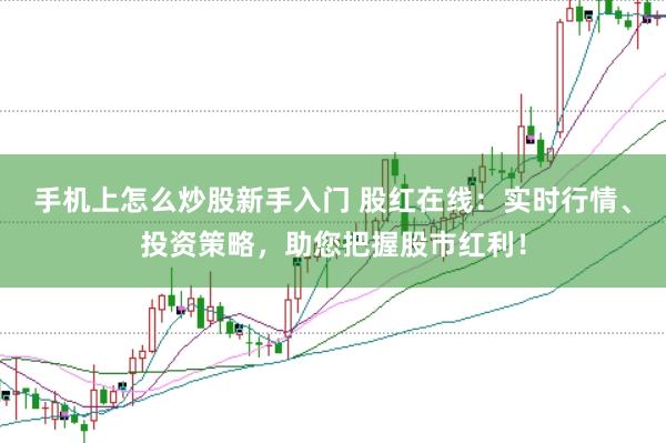 手机上怎么炒股新手入门 股红在线:实时行情、投资策略,助您把握股市红利!