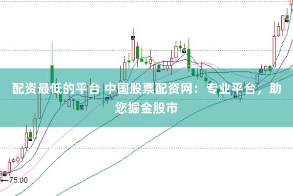 配资最低的平台 中国股票配资网:专业平台,助您掘金股市