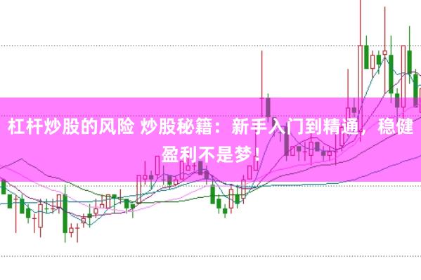 杠杆炒股的风险 炒股秘籍：新手入门到精通，稳健盈利不是梦！