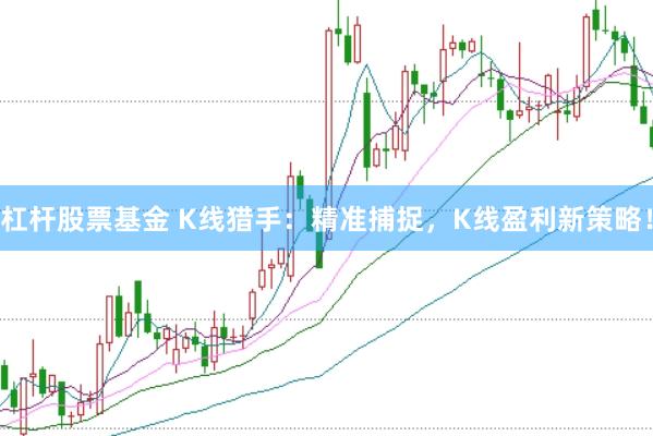 杠杆股票基金 K线猎手：精准捕捉，K线盈利新策略！