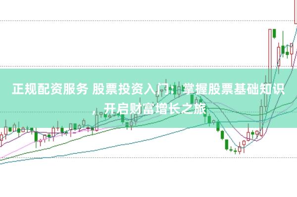 正规配资服务 股票投资入门：掌握股票基础知识，开启财富增长之旅
