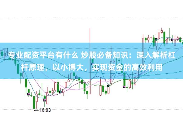 专业配资平台有什么 炒股必备知识：深入解析杠杆原理，以小博大，实现资金的高效利用