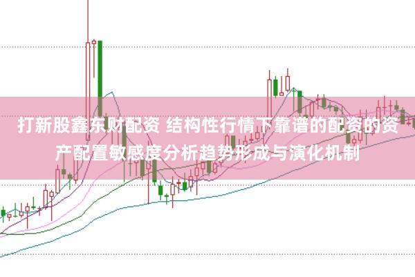 打新股鑫东财配资 结构性行情下靠谱的配资的资产配置敏感度分析趋势形成与演化机制