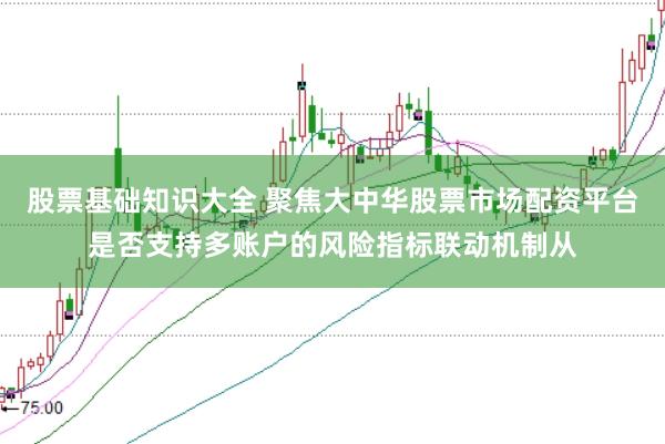 股票基础知识大全 聚焦大中华股票市场配资平台是否支持多账户的风险指标联动机制从