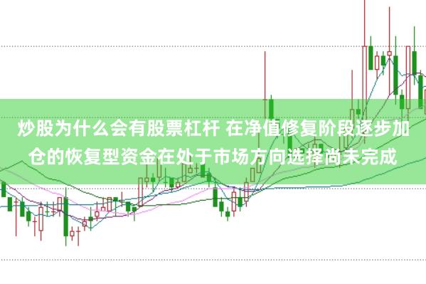 炒股为什么会有股票杠杆 在净值修复阶段逐步加仓的恢复型资金在处于市场方向选择尚未完成
