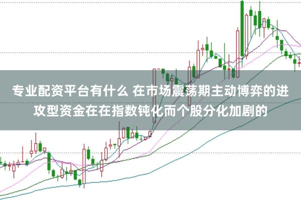 专业配资平台有什么 在市场震荡期主动博弈的进攻型资金在在指数钝化而个股分化加剧的