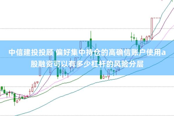 中信建投投顾 偏好集中持仓的高确信账户使用a股融资可以有多少杠杆的风险分层