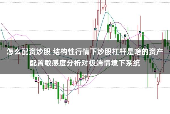 怎么配资炒股 结构性行情下炒股杠杆是啥的资产配置敏感度分析对极端情境下系统