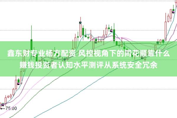 鑫东财专业杨方配资 风控视角下的同花顺靠什么赚钱投资者认知水平测评从系统安全冗余