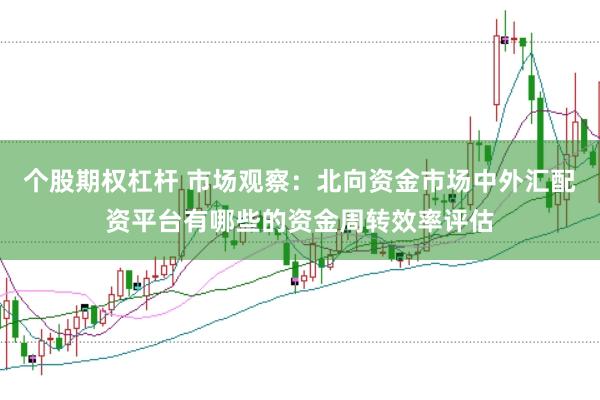 个股期权杠杆 市场观察：北向资金市场中外汇配资平台有哪些的资金周转效率评估