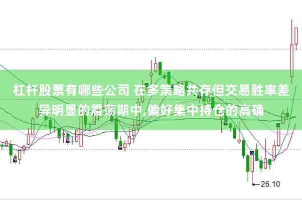 杠杆股票有哪些公司 在多策略共存但交易胜率差异明显的震荡期中，偏好集中持仓的高确