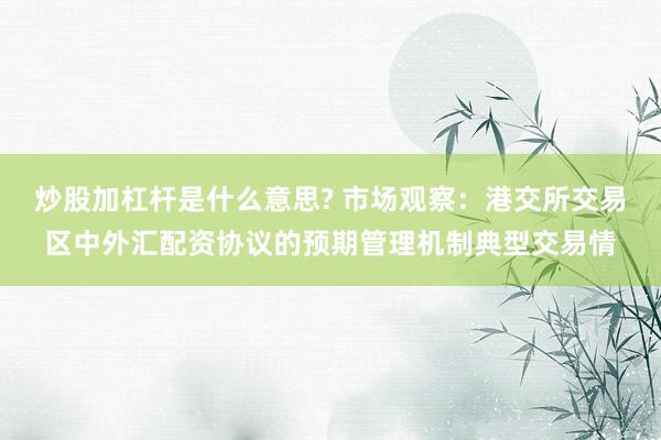炒股加杠杆是什么意思? 市场观察：港交所交易区中外汇配资协议的预期管理机制典型交易情