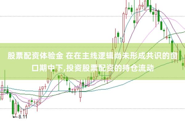 股票配资体验金 在在主线逻辑尚未形成共识的窗口期中下,投资股票配资的持仓流动
