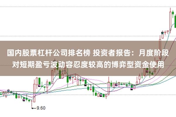 国内股票杠杆公司排名榜 投资者报告:月度阶段对短期盈亏波动容忍度较高的博弈型资金使用