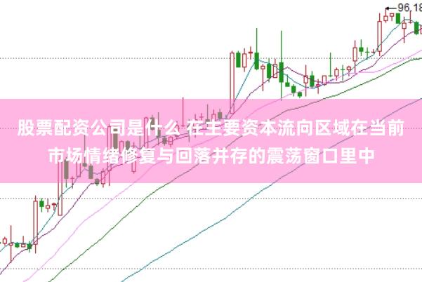 股票配资公司是什么 在主要资本流向区域在当前市场情绪修复与回落并存的震荡窗口里中