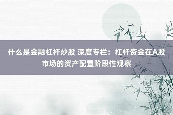 什么是金融杠杆炒股 深度专栏：杠杆资金在A股市场的资产配置阶段性观察