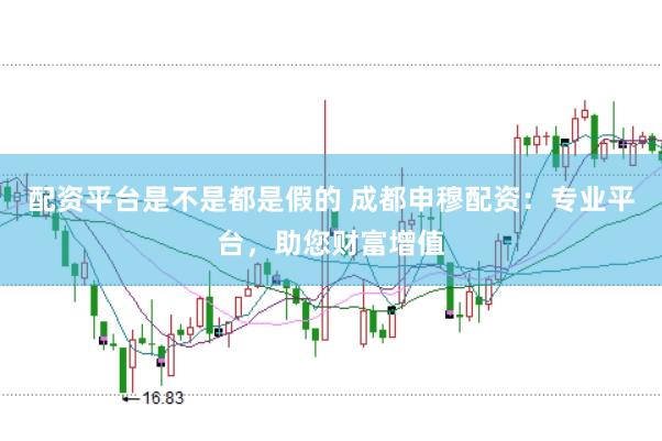 配资平台是不是都是假的 成都申穆配资：专业平台，助您财富增值