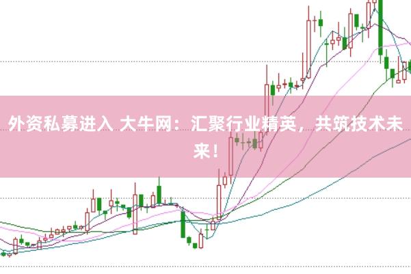 外资私募进入 大牛网：汇聚行业精英，共筑技术未来！