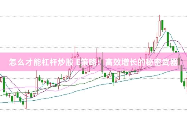 怎么才能杠杆炒股 E策略：高效增长的秘密武器