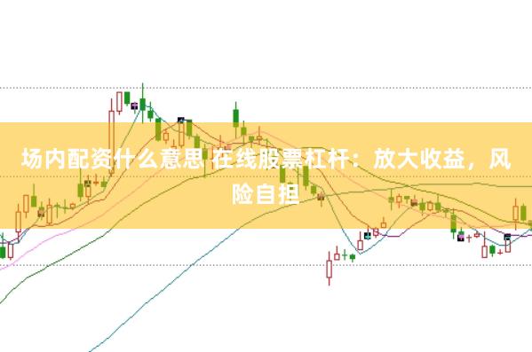 场内配资什么意思 在线股票杠杆:放大收益,风险自担