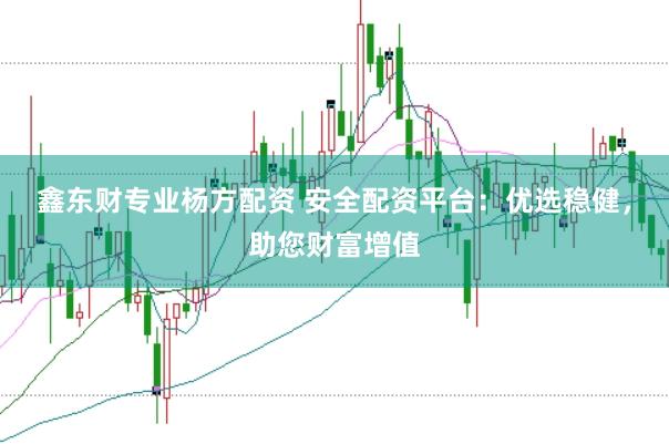 鑫东财专业杨方配资 安全配资平台:优选稳健,助您财富增值