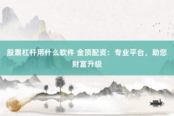 股票杠杆用什么软件 金顶配资：专业平台，助您财富升级