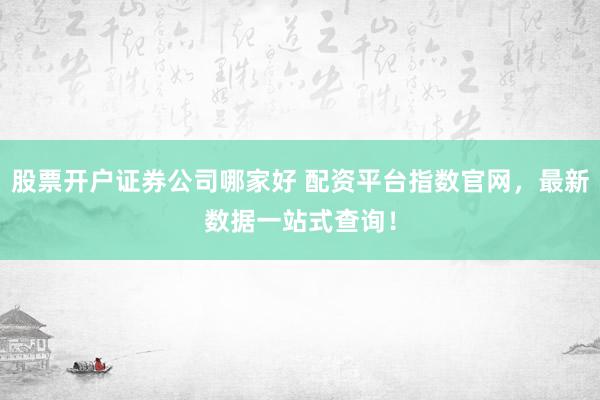 股票开户证券公司哪家好 配资平台指数官网，最新数据一站式查询！