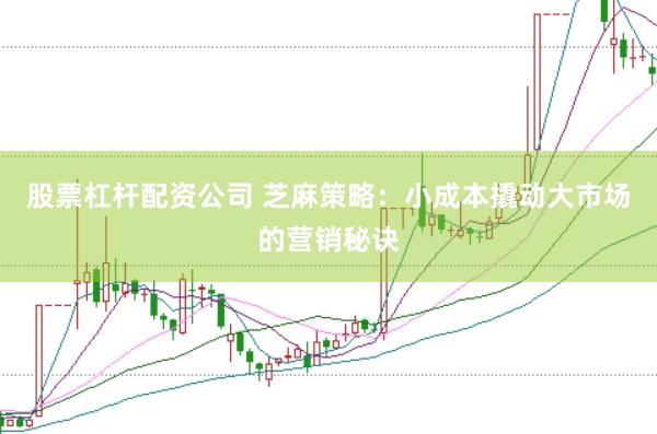 股票杠杆配资公司 芝麻策略：小成本撬动大市场的营销秘诀