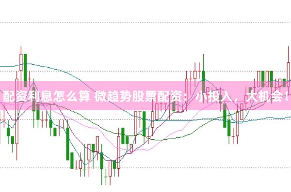 配资利息怎么算 微趋势股票配资：小投入，大机会！