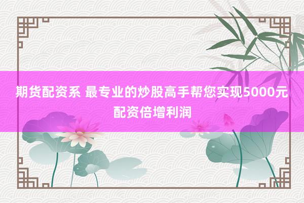 期货配资系 最专业的炒股高手帮您实现5000元配资倍增利润