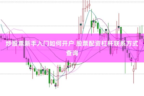 炒股票新手入门如何开户 股票配资杠杆联系方式查询
