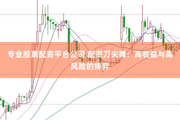 专业股票配资平台公司 配资刀尖舞：高收益与高风险的博弈