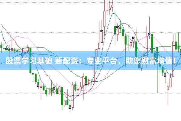 股票学习基础 要配资：专业平台，助您财富增值！